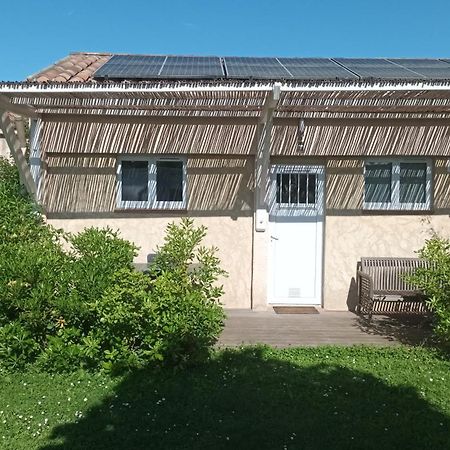 L'Aparte - Studio Les Amandiers Pignans Zewnętrze zdjęcie